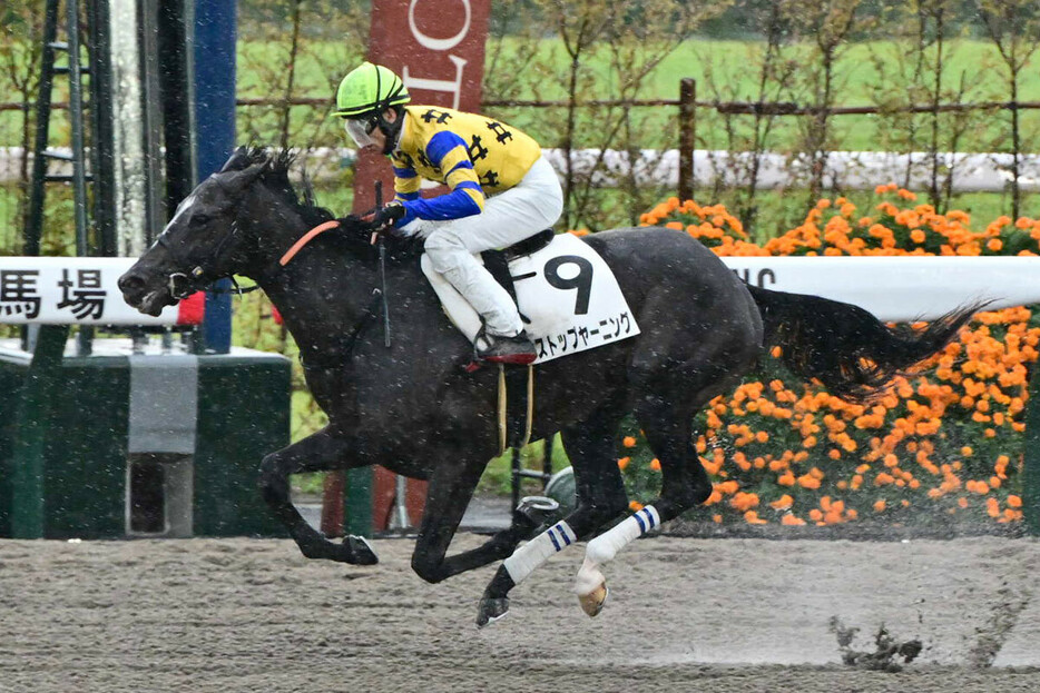 馬名の由来が「憧れるのをやめましょう」のストップヤーニング