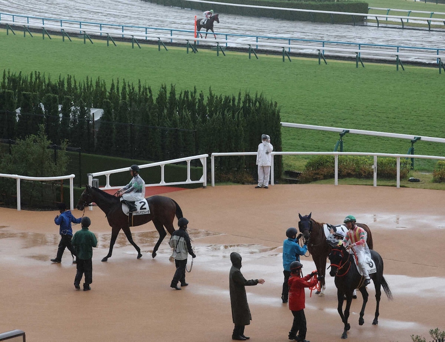 京都8Rの取りやめが発表され引き揚げる出走馬（撮影・亀井　直樹）　