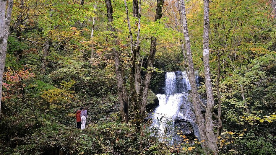 紅葉が見頃を迎えた宇津江四十八滝＝高山市国府町宇津江