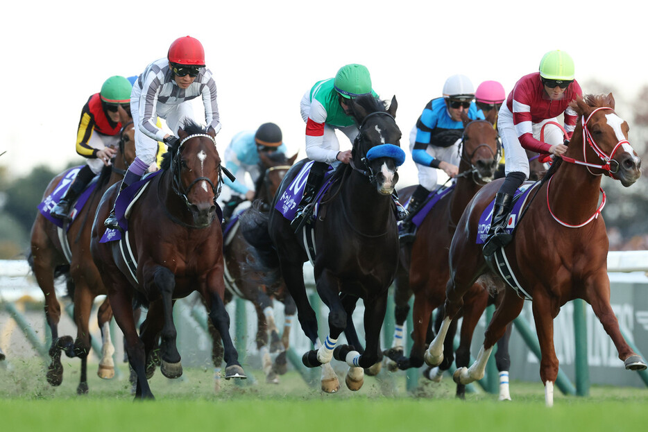 第４４回ジャパンカップ（ＧⅠ）を制した武豊騎乗のドウデュース（左）＝２４日、東京競馬場