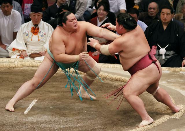 12日目、琴桜（左）は大栄翔を攻め、押し出しで破る=小宮路勝撮影