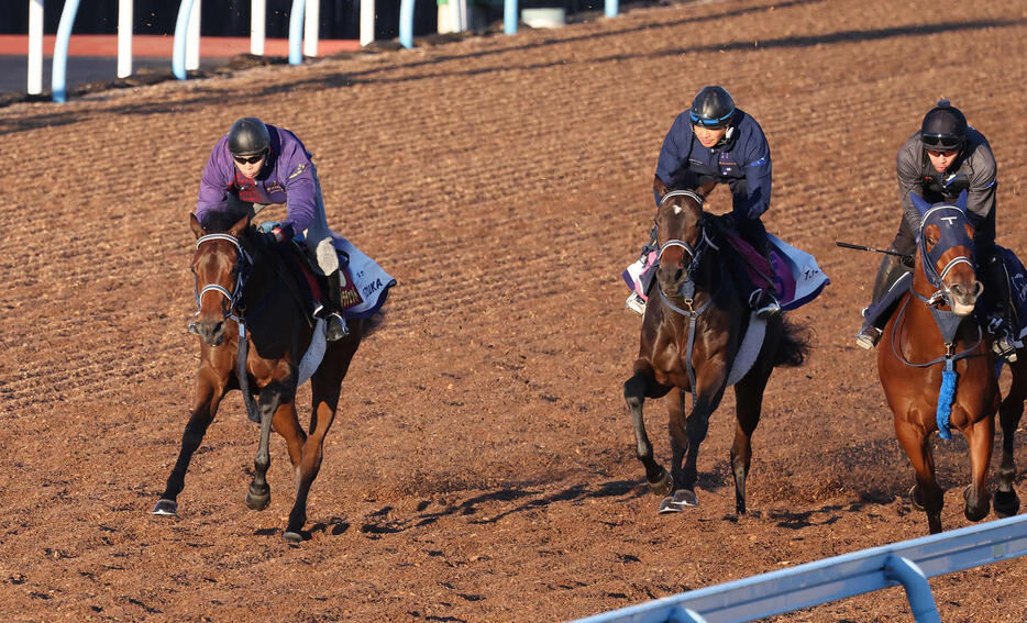 前を行く僚馬を目標に美浦ウッドを単走で追い切られたブラウンラチェット（左端）（撮影・丹羽敏通）