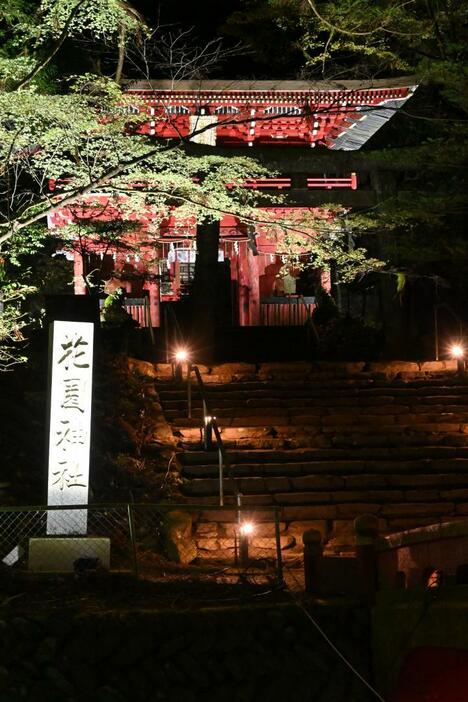 ライトアップで夜に浮かび上がる花園神社=北茨城市華川町花園