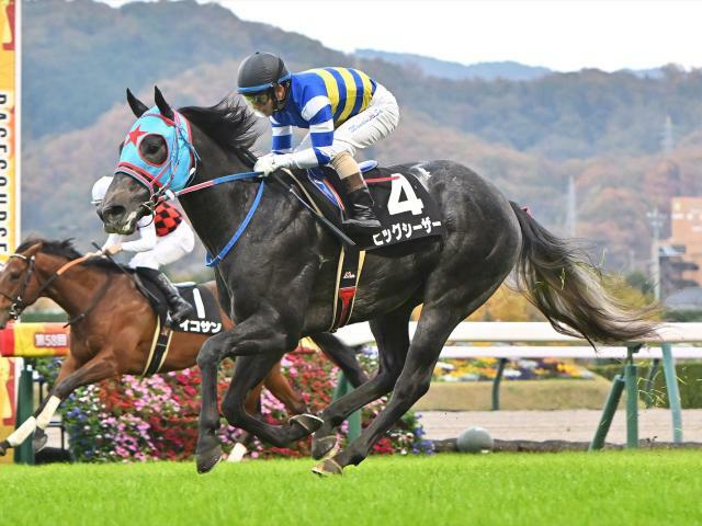 京阪杯に出走予定のビッグシーザー(撮影：小金井邦祥)