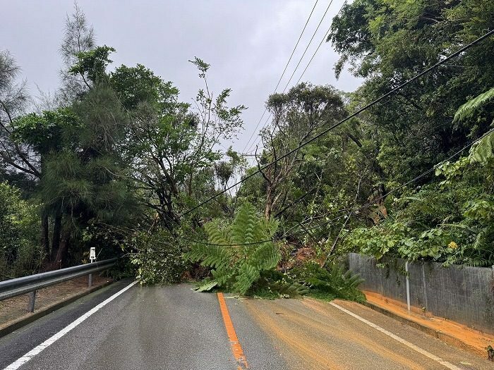 大雨の影響で土砂崩れが発生し、全面通行止めとなっている県道14号（県提供）