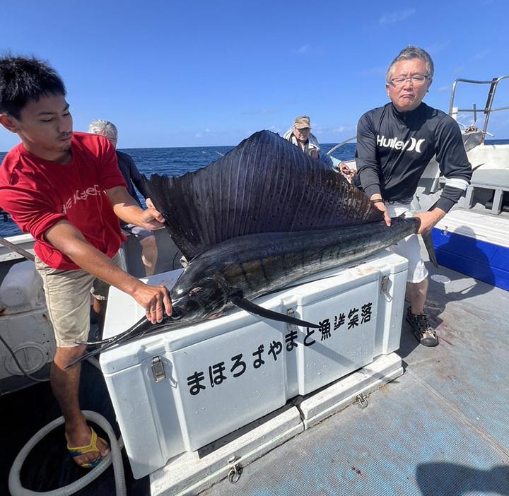 来島客が釣り上げた角が二股で重さ30キロを超えるバショウカジキ＝4日、鹿児島県大和村（提供写真）