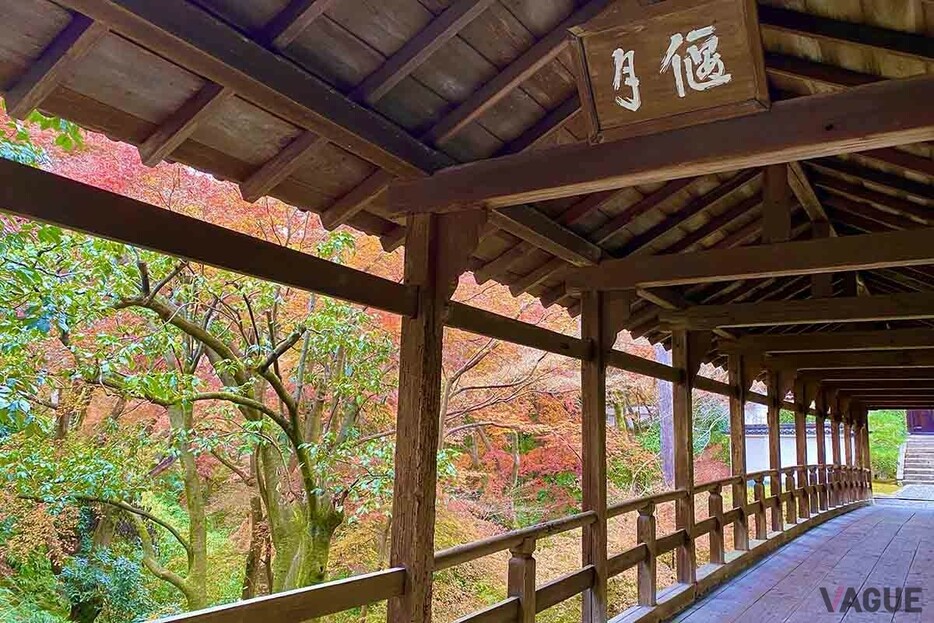 京都・東福寺の紅葉。秋の行楽シーズン、ドライブ旅行でビジネスホテルを使う場合は注意が必要だ