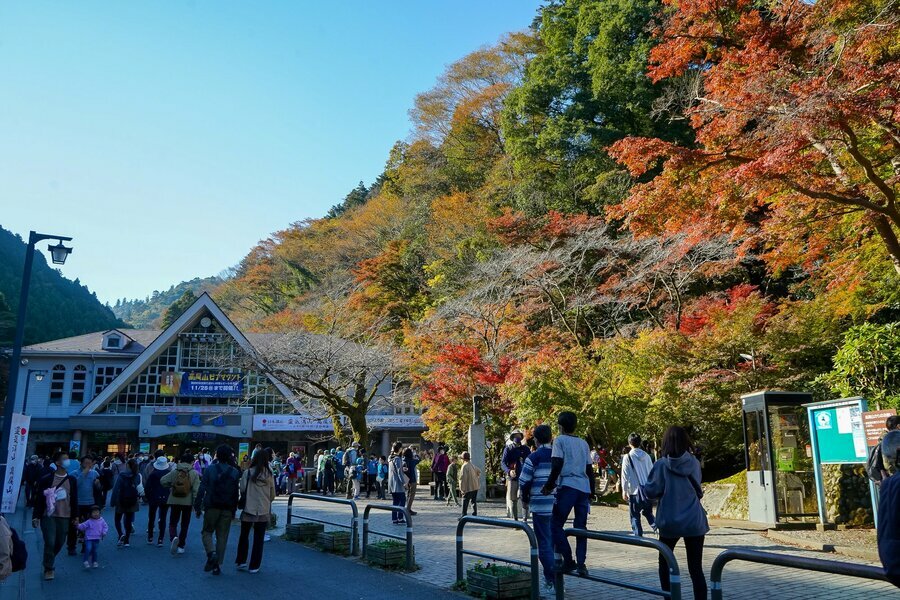 多くの人で賑わう紅葉シーズンの高尾山（撮影：深瀬あみ）