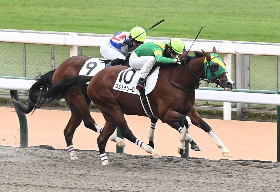 　新馬戦を制したボルトテソーロ（撮影・園田高夫）