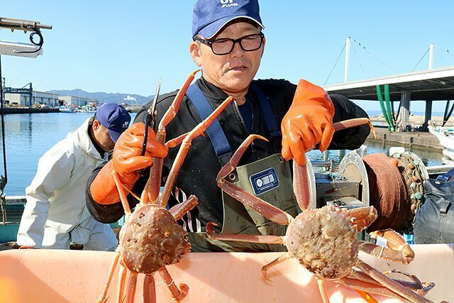 水揚げしたズワイガニを手にする漁師