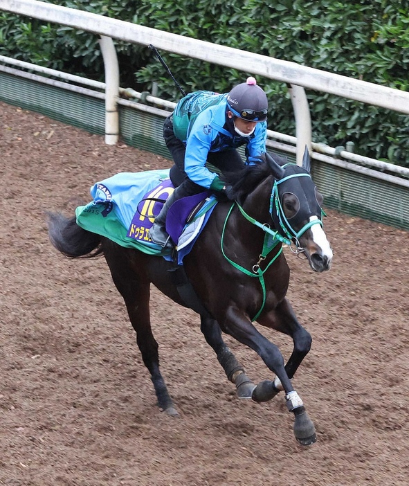 坂路を単走で追い切るドゥラエレーデ