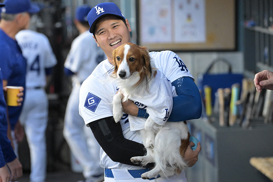 ドジャースの大谷翔平とデコピン【写真：ロイター】