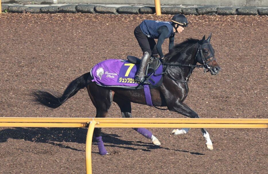 ジュンブロッサムはCWコースを活気十分に駆け抜けた＝栗東トレセン（撮影・安部光翁）