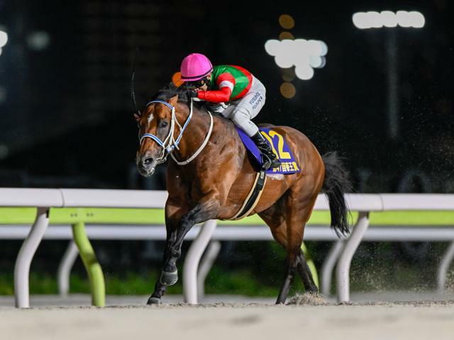 今年の帝王賞を制したキングズソード(撮影：高橋正和)