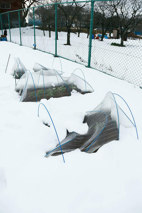 トンネルが雪に押しつぶされると危険（撮影／福田 稔）