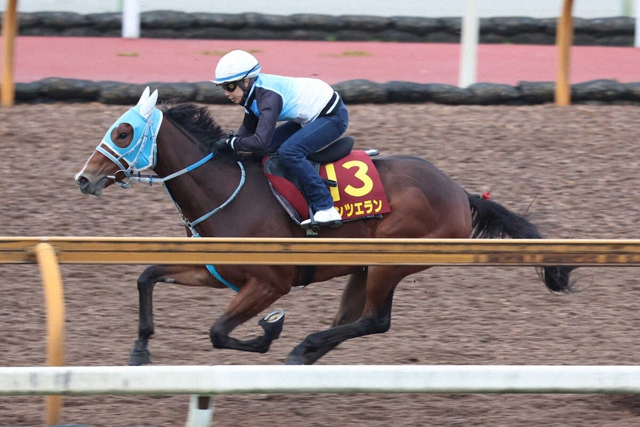 CWコースで併せ馬に大きく先着したダンツエラン