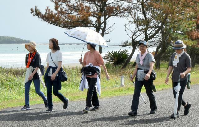 「しんきんチャリティーウオーク」で秋の青島海岸を満喫する参加者ら＝２日午前、宮崎市