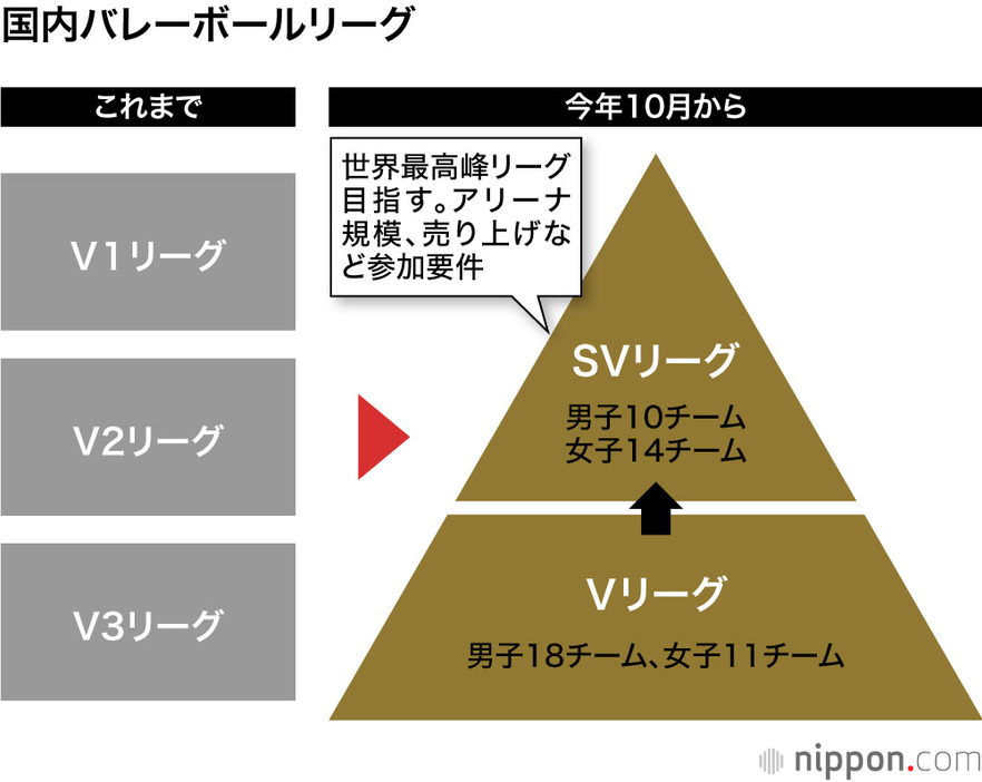 国内バレーボールリーグ