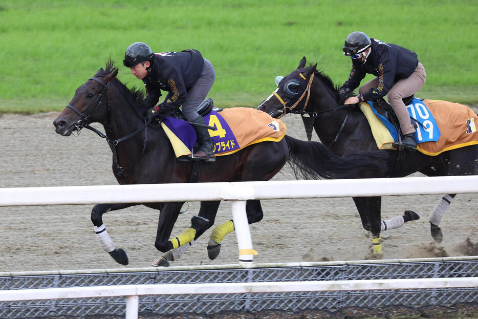 ポリトラックで併せ馬に先着したクラウンプライド（左）