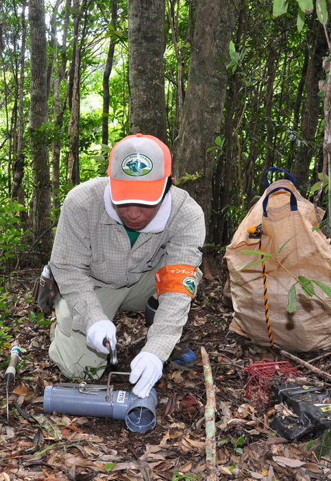 改良を重ね完成した筒わなを設置するバスターズのメンバー＝2012年5月、鹿児島県奄美市住用町