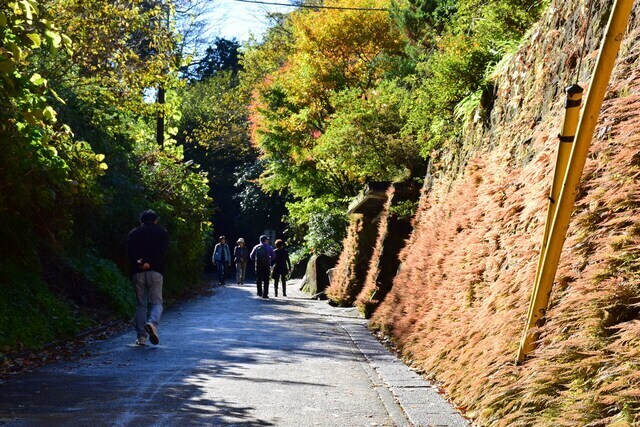 亀ヶ谷坂切り通し