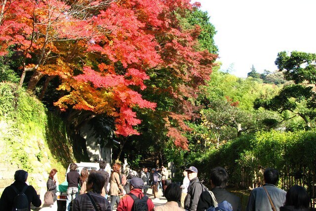 建長寺「半僧坊道」沿いの紅葉