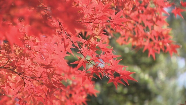 白峯寺　坂出市青海町