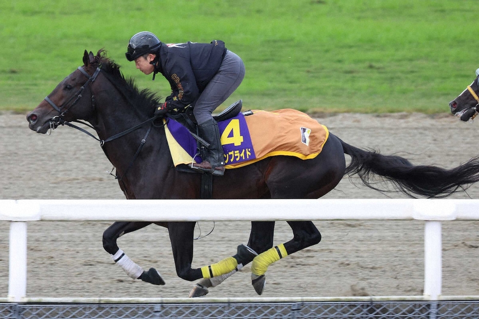 DPコース馬ナリで併せ馬に先着するクラウンプライド