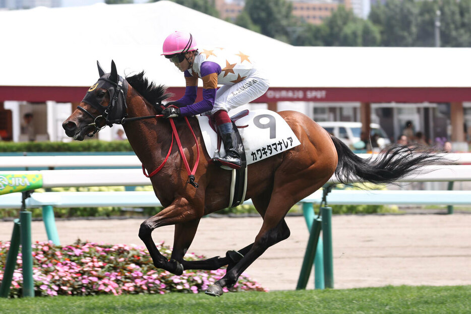 ２連勝中のカワキタマナレアだが…