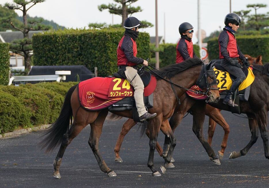 阪神JFに向けて調整を進めているランフォーヴァウ