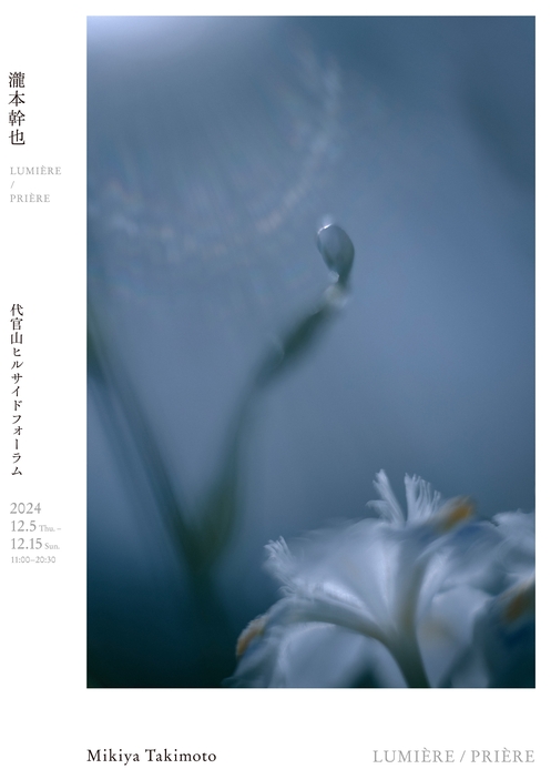 瀧本幹也の写真展『LUMIÈRE』『PRIÈRE』