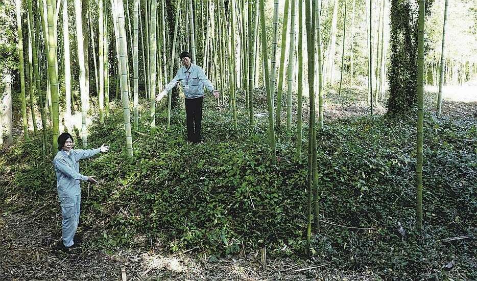 土塁を拡張して「横矢」にした張り出しの高まり部分（京都市西京区で）