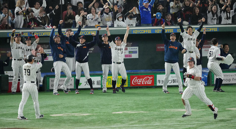 日本対ベネズエラ　6回裏日本2死満塁、牧（手前）の満塁本塁打に大盛り上がりの才木（右から3人目）らナイン（撮影・垰建太）