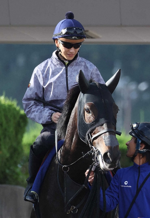 坂井瑠星を背に調教から引き揚げるホールネス