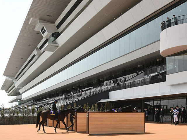 阪神JFが行われる京都競馬場(c)netkeiba