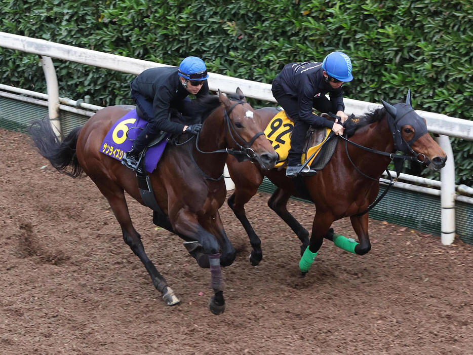 武豊騎手を背に坂路をラキエータ（右）と併せ馬で追い切るサンライズジパング（撮影・白石智彦）