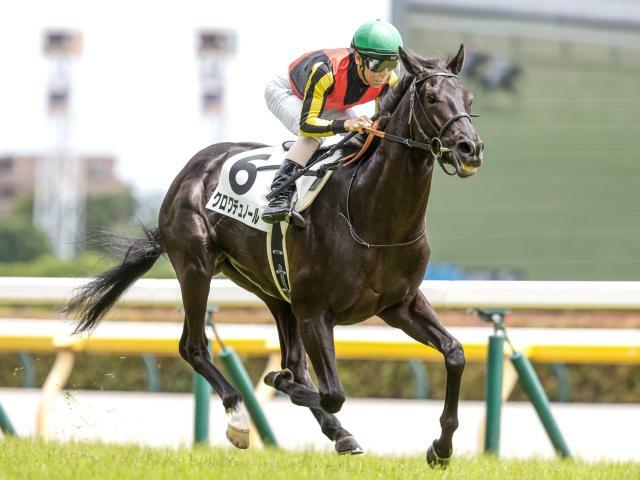 東スポ杯2歳Sに出走予定のクロワデュノール(撮影：下野雄規)