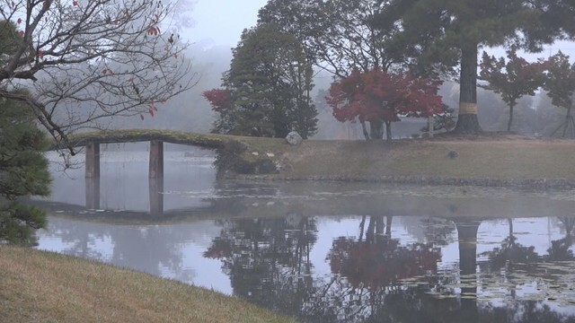 衆楽園　津山市山北　午前7時ごろ