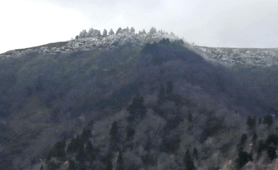 山頂付近にうっすら雪が積もった氷ノ山＝８日午前、養父市福定