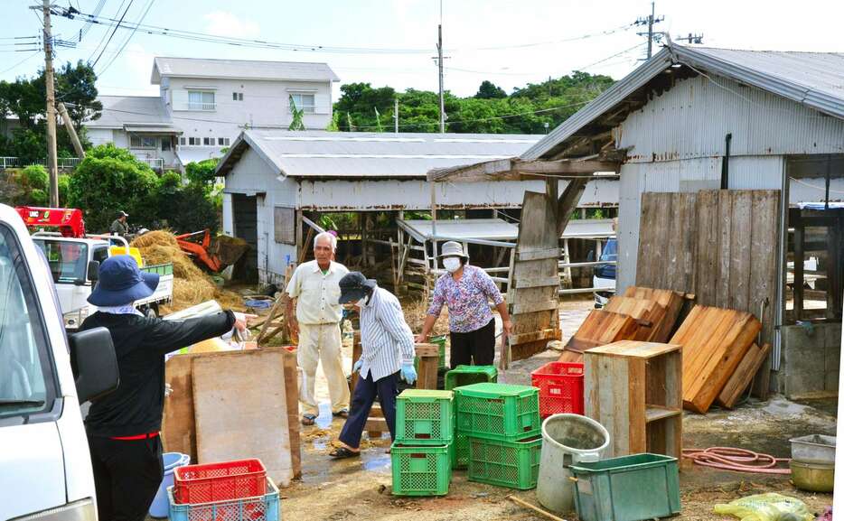 水浸しになった牛舎を片付ける畜産農家の人たち＝１１日、与論町茶花