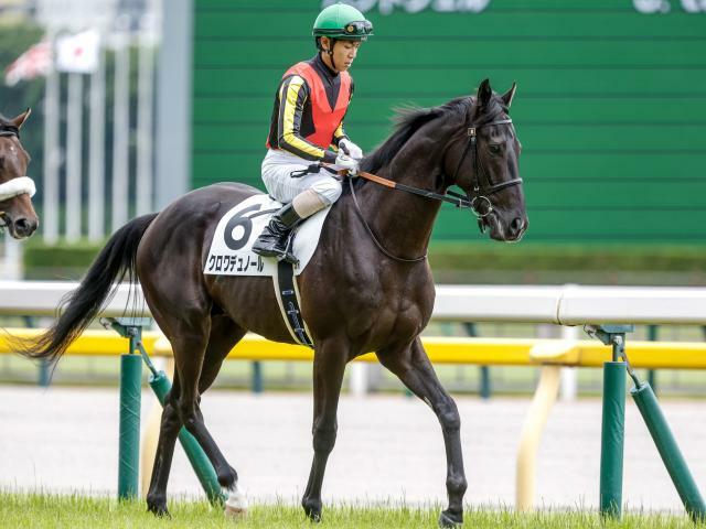 東スポ杯2歳Sに出走予定のクロワデュノール(撮影：下野雄規)