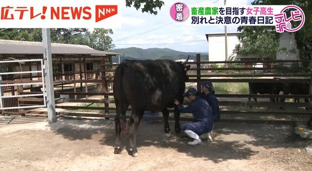 「心結（みゆ）号」と、最後の挨拶