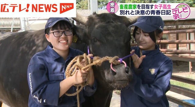 広島テレビ放送