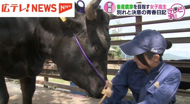 広島テレビ放送