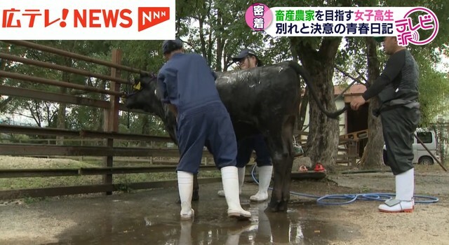 広島テレビ放送