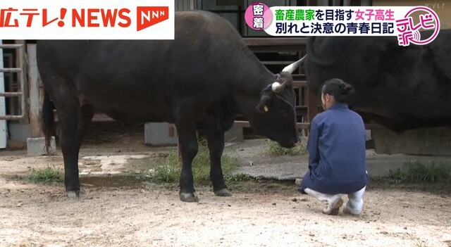 広島テレビ放送