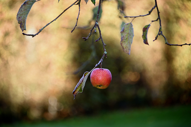 photo by iStock