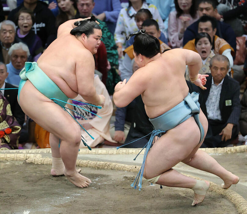 琴桜（左）が押し倒しで欧勝馬を下す（カメラ・豊田　秀一）