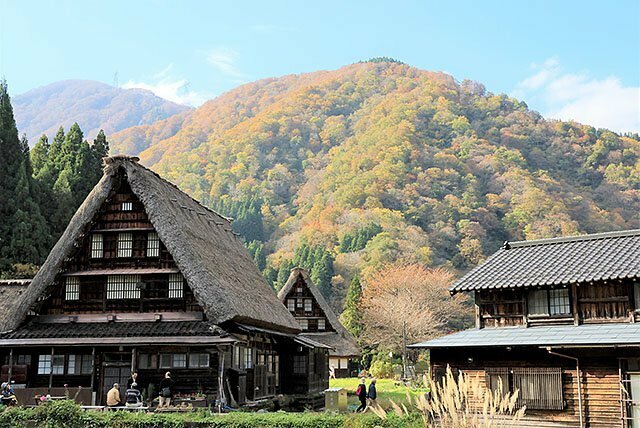 世界遺産と彩られた山肌