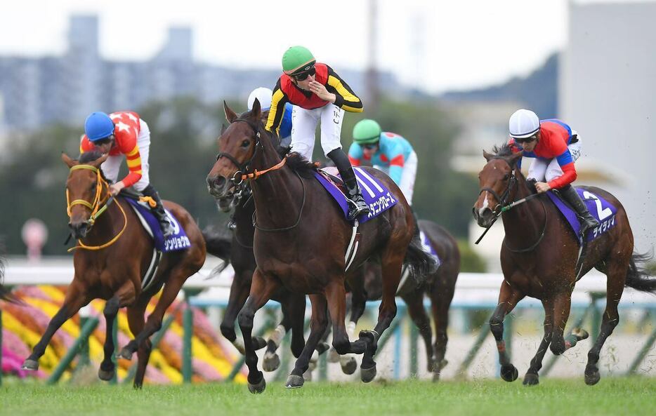 エリザベス女王杯で4着に敗れたシンリョクカ（左、青帽）＝京都競馬場（撮影・岩川晋也）